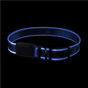 LED Dog Collar