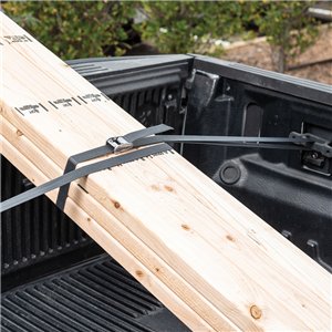 Dual CamJam Tie Down