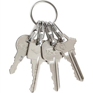 Keyring Microlink