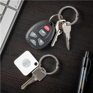 O-Series Gated Key Ring