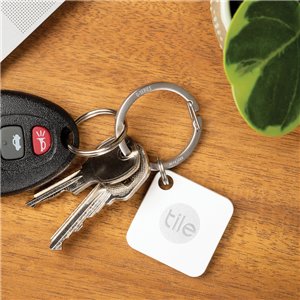 O-Series Gated Key Ring