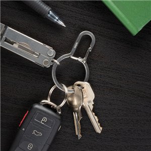 DualPass Dual Chamber Key Ring