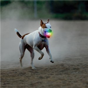 Glowstreak Wild LED Ball