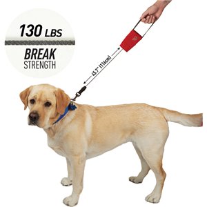 RadDog Retractable Leash