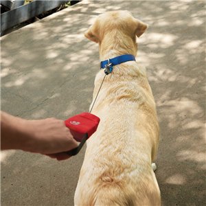 RadDog Retractable Leash