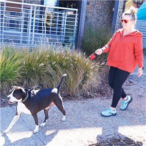 RadDog Retractable Leash