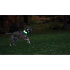 Nitedog LED Collar Cover