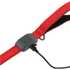 Nitedog Rechargeable Leash