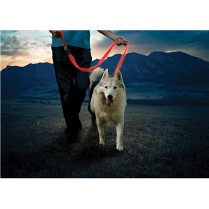 Nitedog Rechargeable Leash