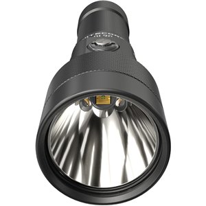 DL30 Dive Light