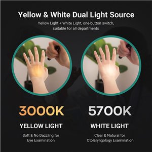 Dr K32 Dual Medical Penlight