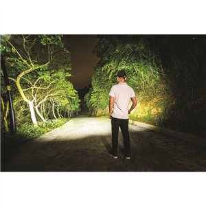 Saint Torch 31 Search Light