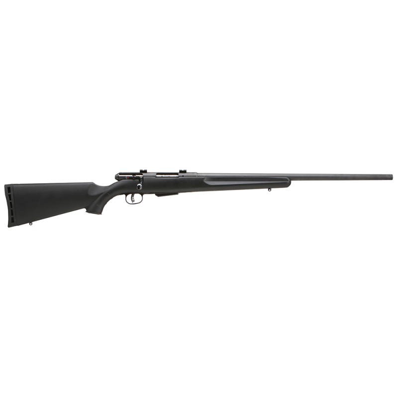 Savage Arms 19153 25 Walking Varminter 22 Hornet Caliber with 41 Capacity 22 Barrel Matte Black Metal Finish  Matte Black Synthe