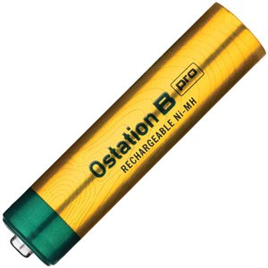 High Capacity AAA Batteries