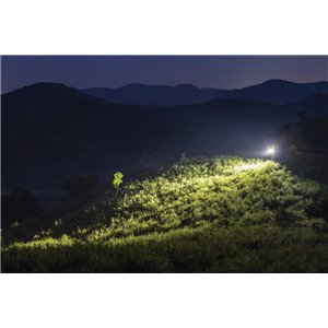 Arkfeld Ultra Class 3R Olive