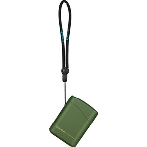 Baton 4 Flashlight Premium OD