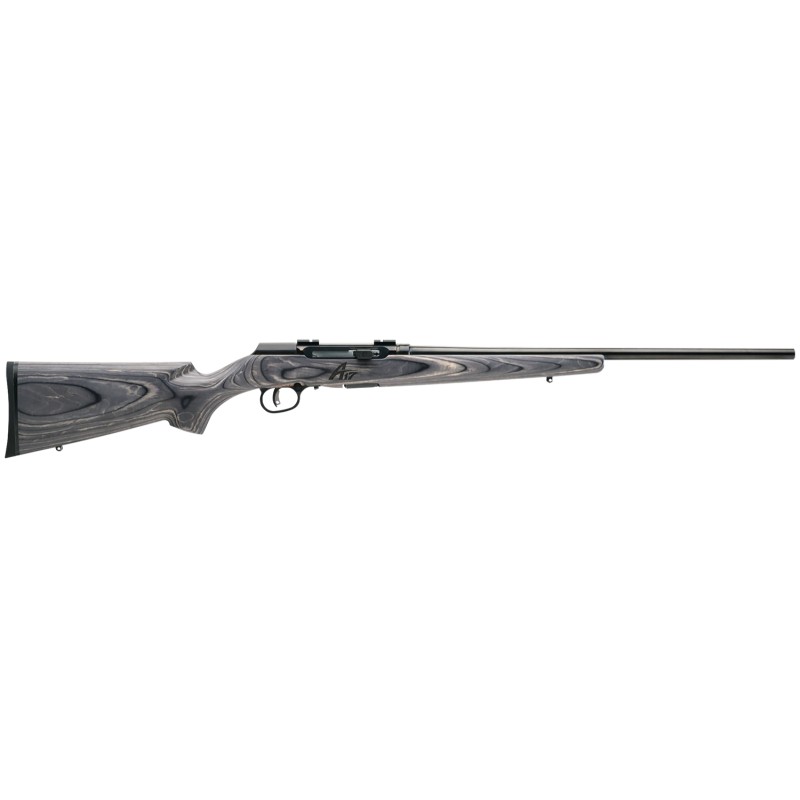 Savage Arms 47801 A17 Sporter SemiAuto 17 WSM Caliber with 81 Capacity 22 Barrel Satin Black Metal Finish  Fixed Gray Laminate S