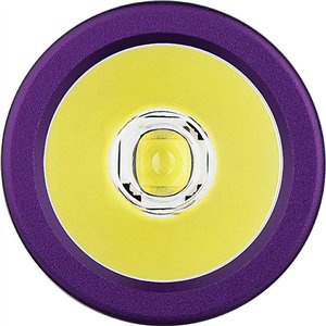 i3E Flashlight Halloween