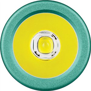 i3E Flashlight Summer Palm