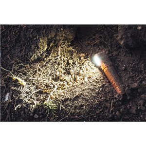 Perun 3 Headlamp Orange