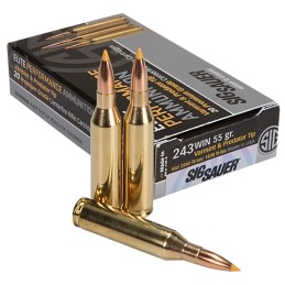 Sig Sauer E243V120 Elite Hunting Varmint  Predator 243 Win 55 gr Extreme Expansion Tip 20 Per Box 10 Case