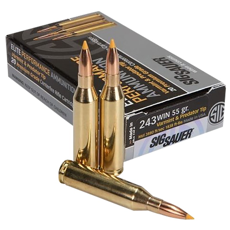 Sig Sauer E243V120 Elite Hunting Varmint  Predator 243 Win 55 gr Extreme Expansion Tip 20 Per Box 10 Case