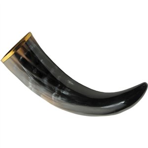 Viking Drinking Horn