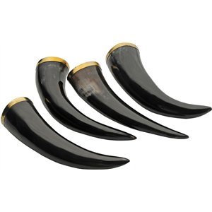 Viking Horn Set w Stand