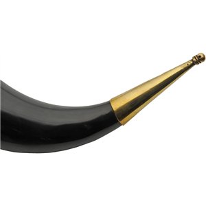 Fancy Viking Horn