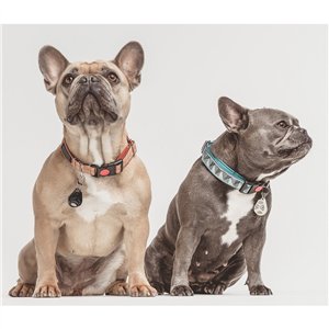 Tickless Ultrasonic Repeller