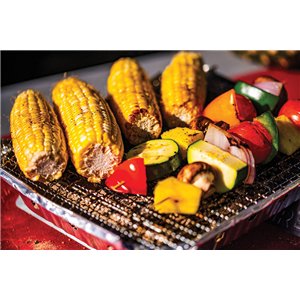 Pull Start Fire Grill