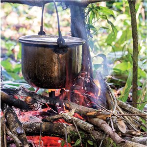 Fire Starter 50 Pack