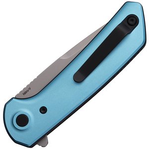PL-XF Pivot Lock Blue SW
