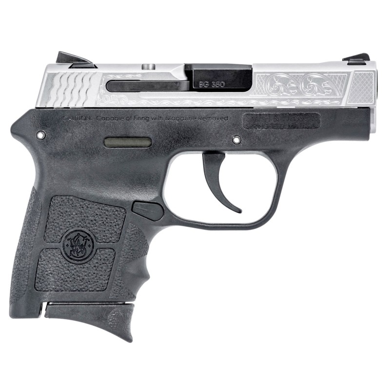 Smith  Wesson 10110 MP Bodyguard MicroCompact Frame 380 ACP 61 2.75 Black Stainless Steel Barrel Matte Silver wEngraving Serrate