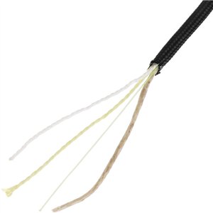 Parapocalypse Lite 100ft