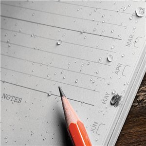 Weekly Planner Undated