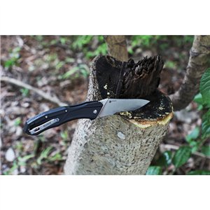 D198 Linerlock Black
