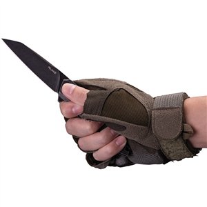 P831 Framelock Black SW