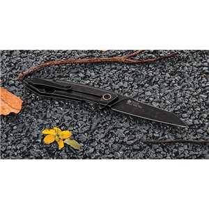 P831 Framelock Black SW