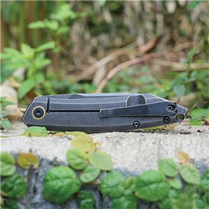 P831 Framelock Black SW