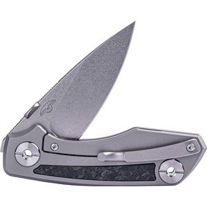 Delta 2600 Framelock CF