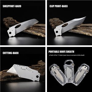 Replaceable Blade Set