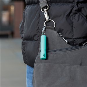 Mighty Discreet Mint