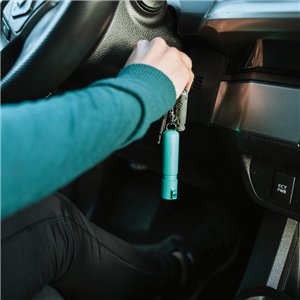 Mighty Discreet Mint