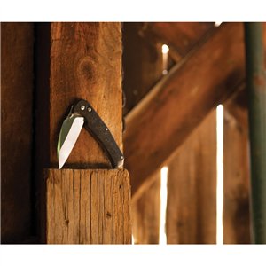 Auto Radok Pivot Lock