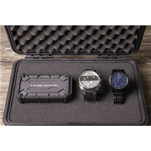 Pioneer Dehumidifier