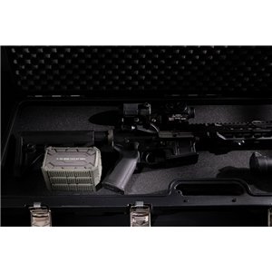 Pioneer Dehumidifier