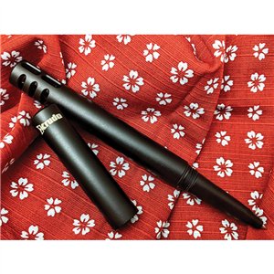 Ink Pen with Fountain Nib