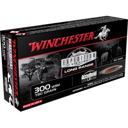 Winchester Ammo S300SLR Expedition Big Game Long Range 300 WSM 190 gr Nosler AccuBond Long Range 20 Per Box 10 Case