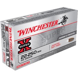 Winchester Ammo X222501 Super X  22250 Rem 55 gr Jacketed Soft Point 20 Per Box 10 Case